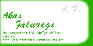 akos faluvegi business card